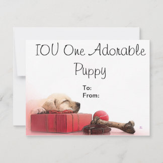 IOU One Adorable Puppy