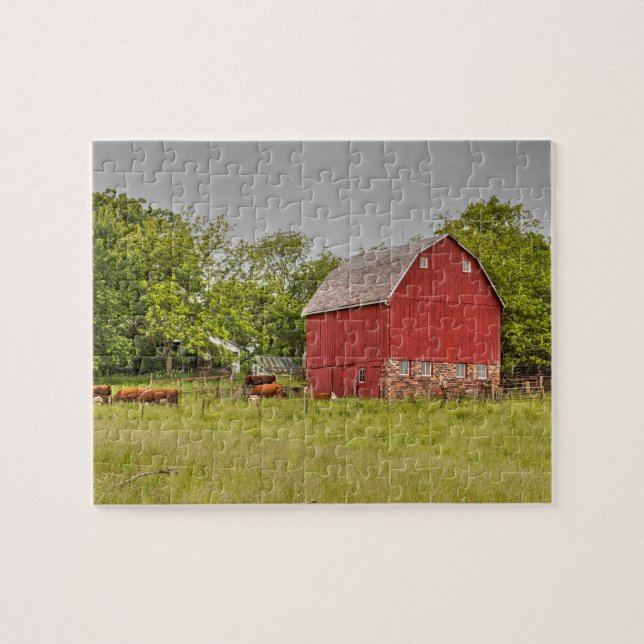 Iowa Barn With Cattle Grazing Jigsaw Puzzle (Horizontal)