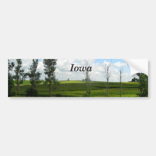 Iowa Bumper Sticker (Front)