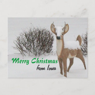 Iowa Christmas Holiday Postcard