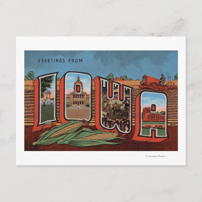 Iowa (Cornfields & Corn) - Large Letter Scenes Postcard (Front)