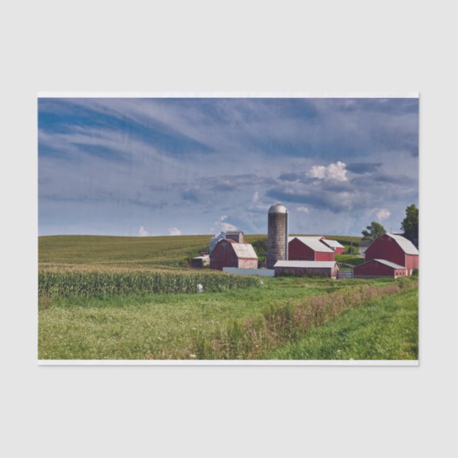 Iowa Farm, Cornfields, Silo and Red Barns Tissue Paper (Front)