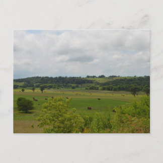 Iowa Landscape Postcard