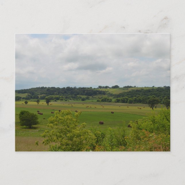 Iowa Landscape Postcard (Front)