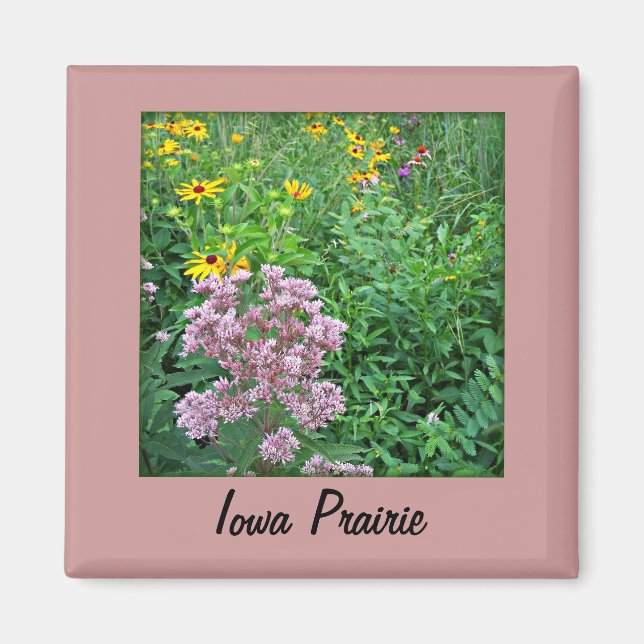 Iowa Prairie Magnet (Front)