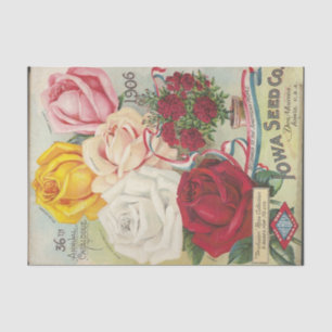 Iowa Seed Co, 1904, Roses Vintage Catalogue Tissue Paper