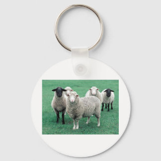Iowa Sheep Key Ring