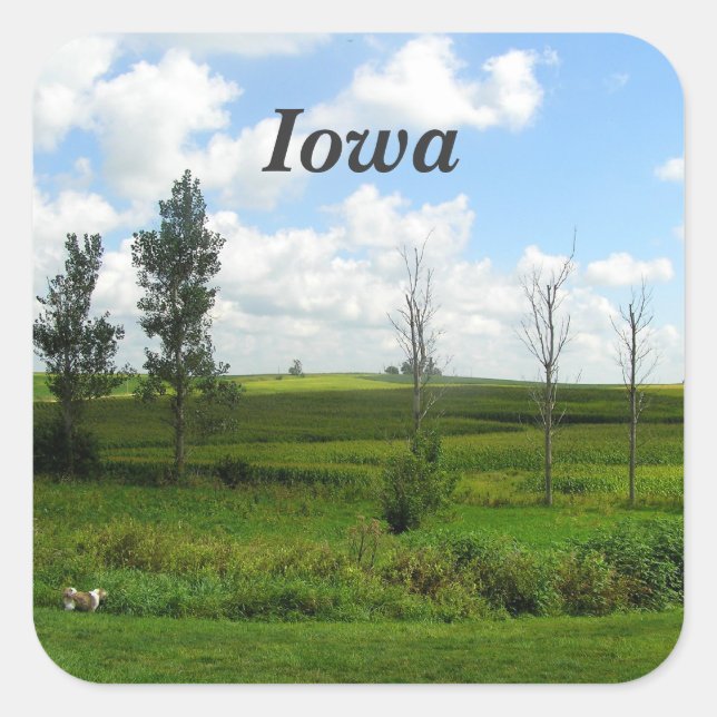Iowa Square Sticker (Front)