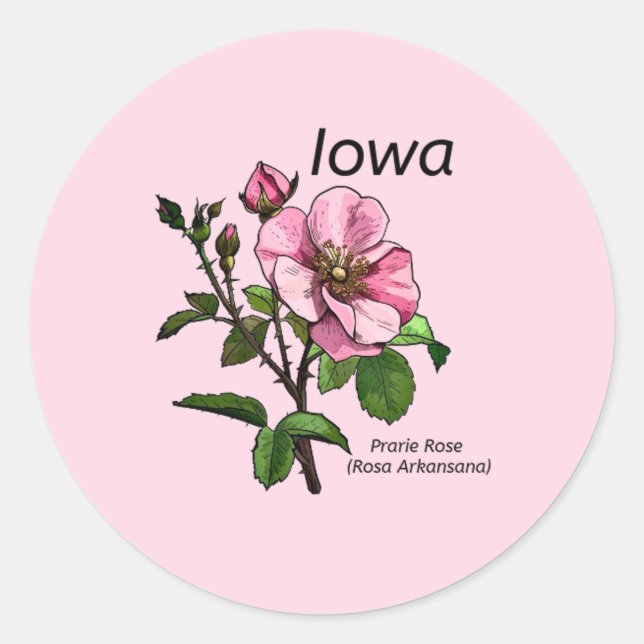Iowa State Flower Sticker (Front)
