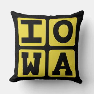 IOWA State Iowan Hawkeye Des Moines Cedar Rapids Cushion