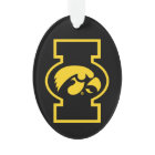 Iowa Tigerhawk | Logotype
