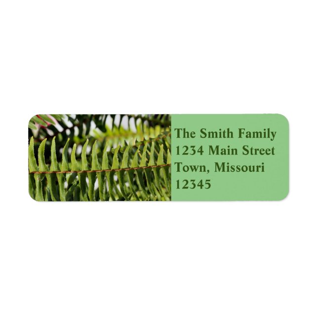 Iowa Tropics Return Address Label (Front)