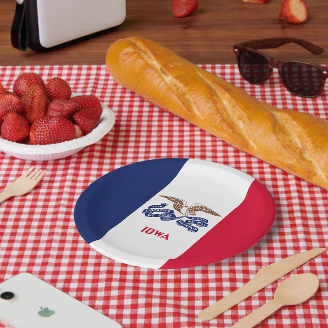 Iowan Flag, Flag of Iowa Paper Plate (Picnic)