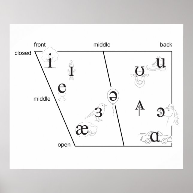 IPA Vowels Placement Poster (Front)