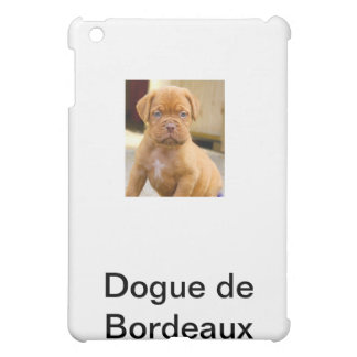 IPAD CASE*** MINI CASE