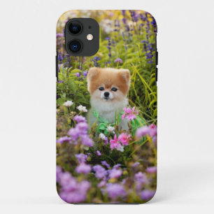 iPhone5 - Bella's Secret Garden iPhone 11 Case