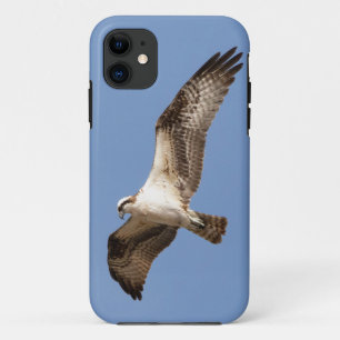 iPhone 11 case with osprey