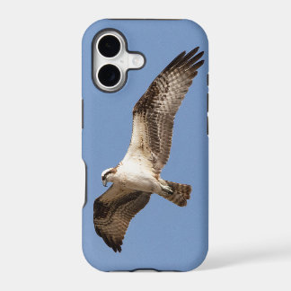 iPhone 11 case with osprey
