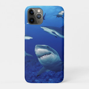 iPhone 11Pro Case-Sharks 11 Pro Case