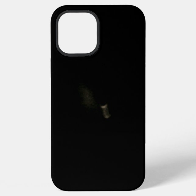 iPhone 12 pro max Case (Back)