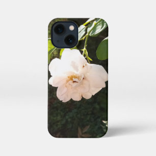 IPhone 13 Mini Cases