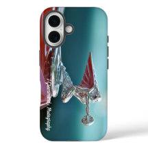 IPhone 16 Phone Case