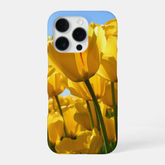IPHONE 16 PRO CASE