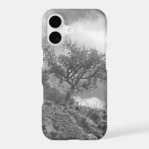 iPhone 17 case