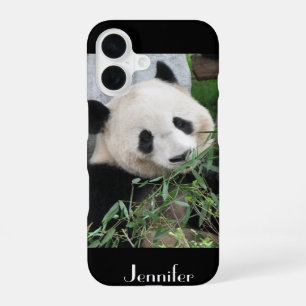 iPhone 5, 5S, SE Tough Xtreme Case Giant Panda