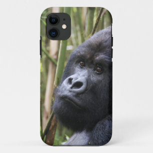 iphone 5 barely there qpc template ip - Customised 11 Case