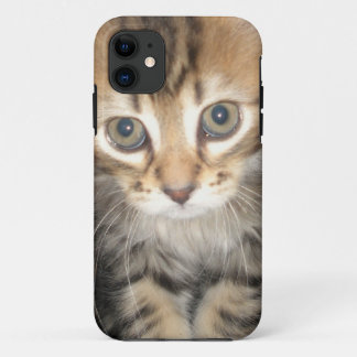 Iphone 5 Case - Kitten