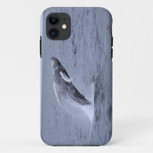 Iphone 5 Case-mate Humpback Whale breaching 11 Case