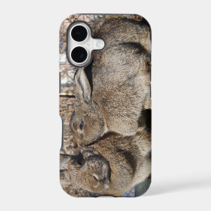 iPhone 5 case with bunnies smooching