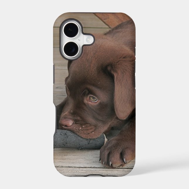 Iphone 5 case with chocolate Labrador retriever (Back)