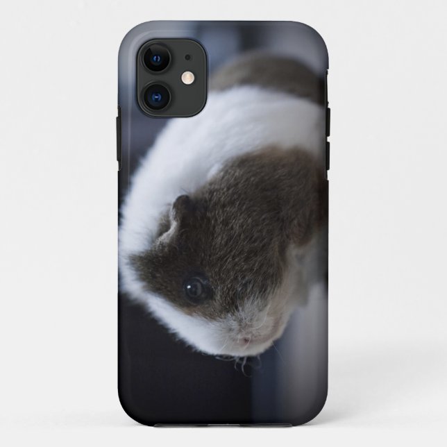 iPhone 5 case with cute guinea pig (Back)
