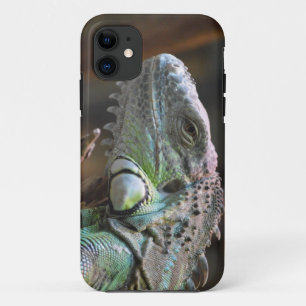 IPhone 5 Case with head of Iguana lizard