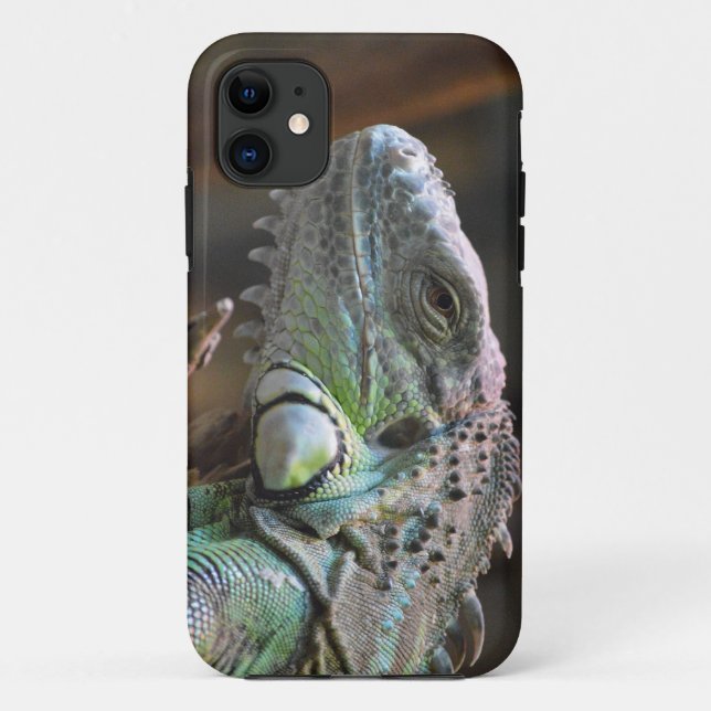 IPhone 5 Case with head of Iguana lizard (Back)