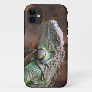 IPhone 5 Case with Iguana lizard