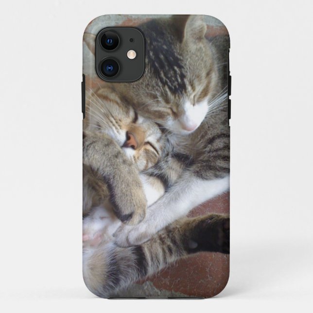 iPhone 5 case with kittens napping (Back)