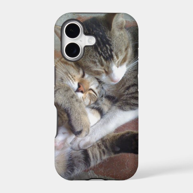 iPhone 5 case with kittens napping (Back)