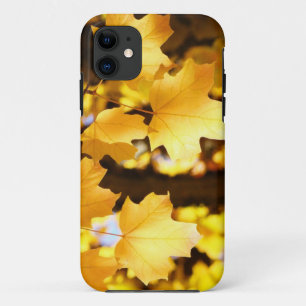 iPhone 5 cases Autumn Leaves Yellow Glowing