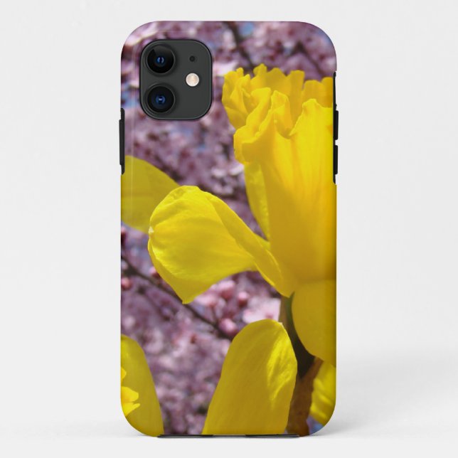 iPHONE 5 cases Spring Yellow Daffodils Blossoms (Back)