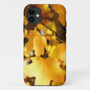 iPhone 5 cases Yellow Fall Tree Leaves Autumn