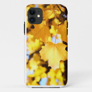 iPhone 5 Cases Yellow Glowing Autumn Leaves