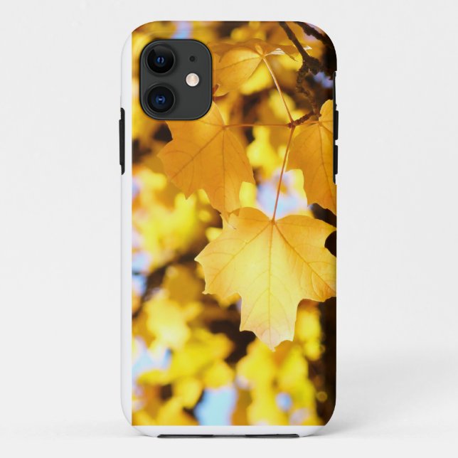 iPhone 5 Cases Yellow Glowing Autumn Leaves (Back)