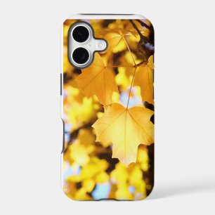 iPhone 5 Cases Yellow Glowing Autumn Leaves
