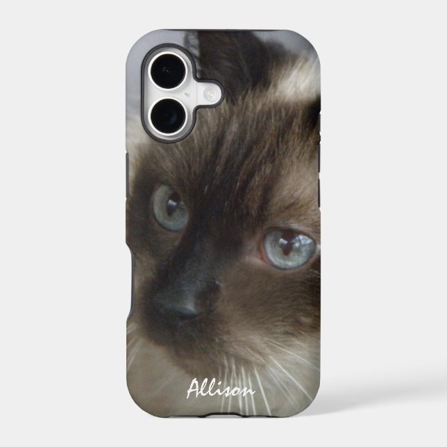 iPhone 5: Personalised Siamese Kitty Case (Back)