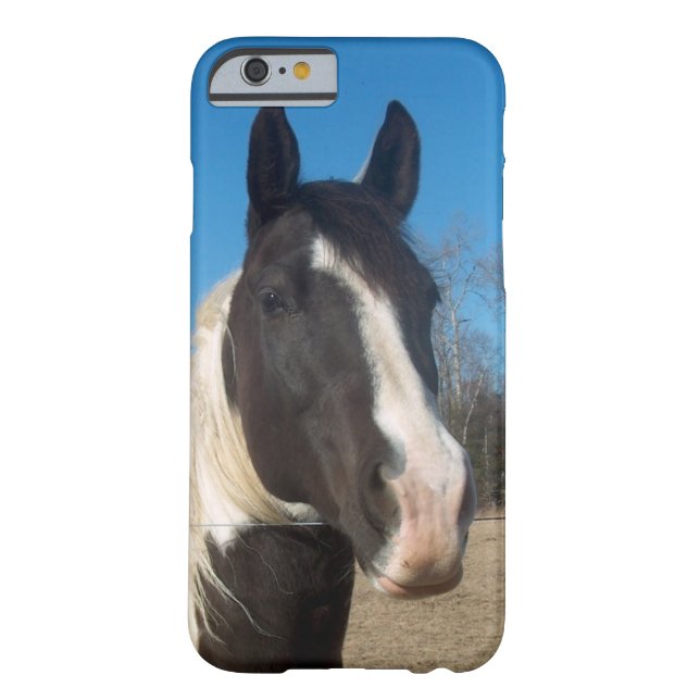 iPhone 6 case Horse Case (Back)