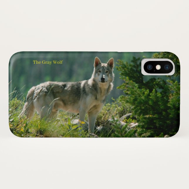 iPhone Case (Back (Horizontal))
