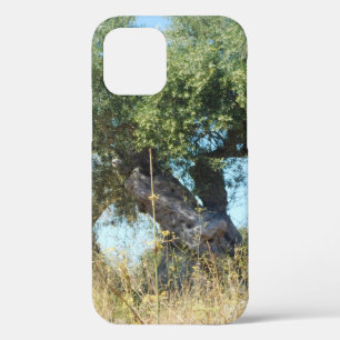 iphone 12 pro case